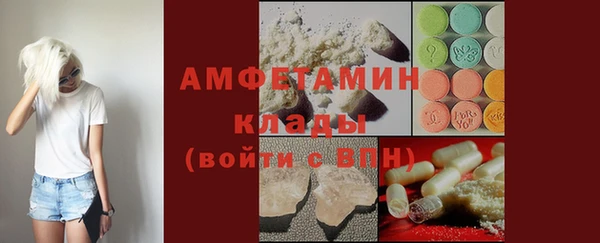 мет Алексин