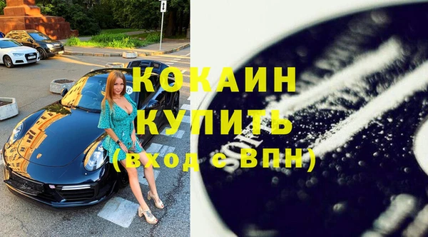 мет Алексин