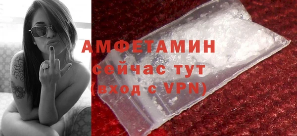 мет Алексин