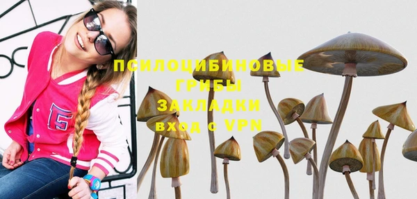 винт Алексеевка