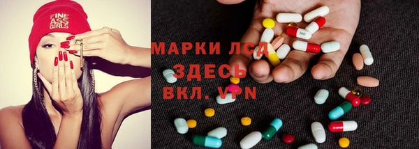 ПСИЛОЦИБИНОВЫЕ ГРИБЫ Абаза
