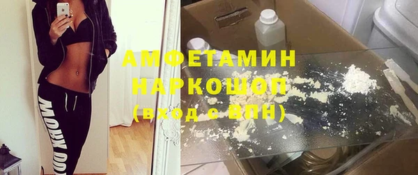 мет Алексин