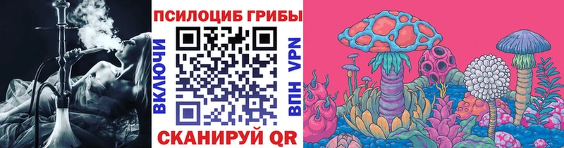 МЕГА   Магадан  Галлюциногенные грибы мухоморы 