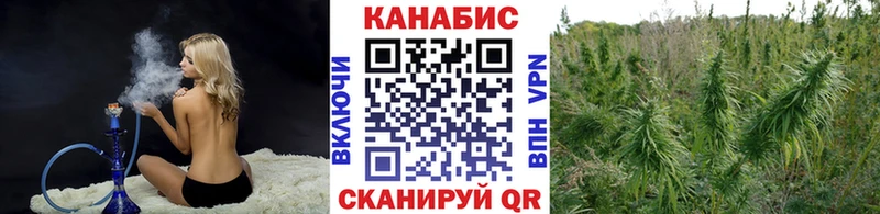 Каннабис OG Kush  Магадан 